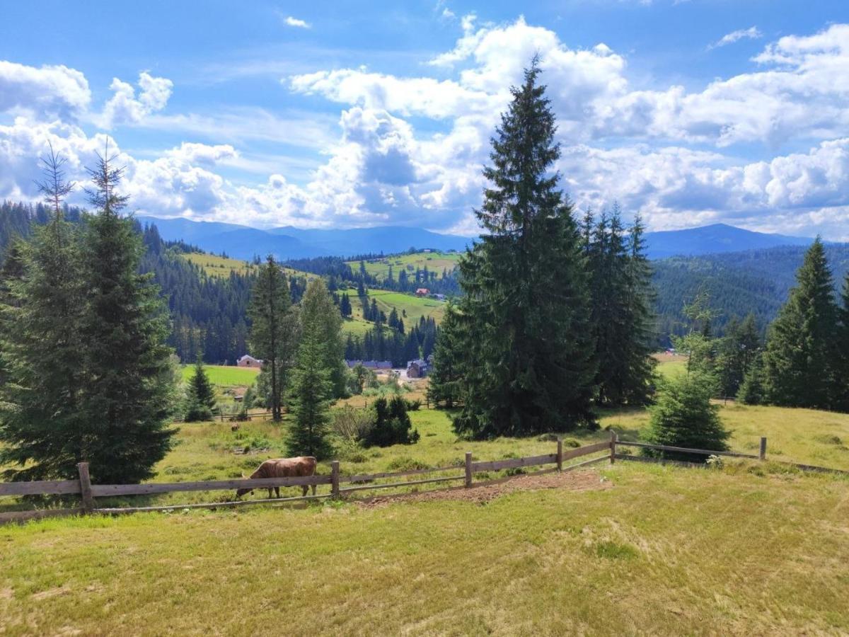 Lidia Chalets Polyanitsa Popovichevskaya Exteriör bild